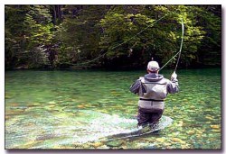 fly-fishing in the Falling Springs